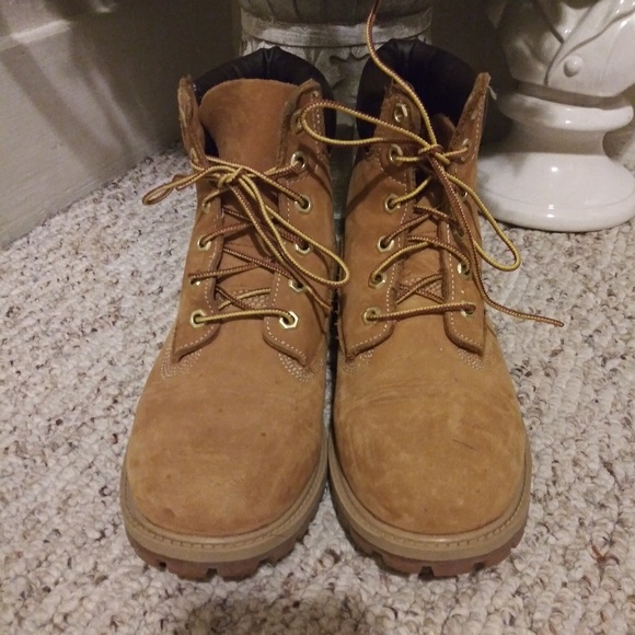 timberland walden park 6 inch